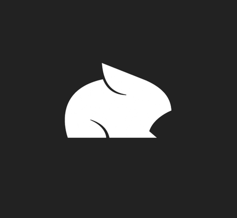 Pika Labs logo